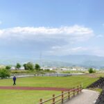 自分らしく生きると何だか上手くいきはじめたという摩訶不思議なお話